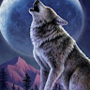 Meet your Posher, Jon